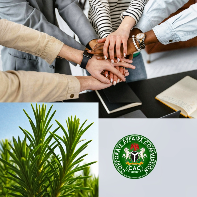 picture for Newspaper trustees advert publication for Incorporated Trustees as required by New Companies and Allied Matters Act (CAMA)